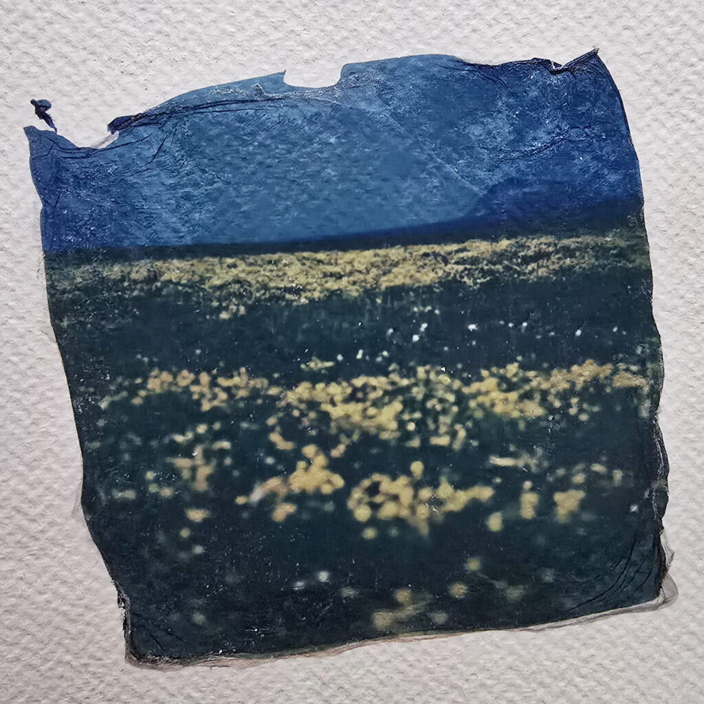 polaroid lift, emulsion lift, polaroid print