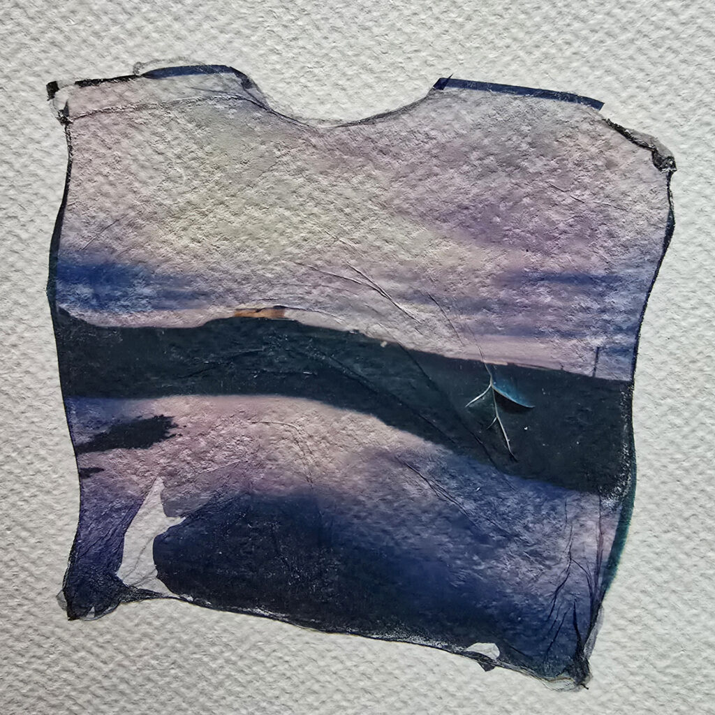 polaroid lift, emulsion lift, polaroid print